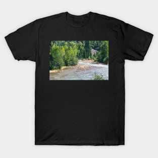 Animas River T-Shirt